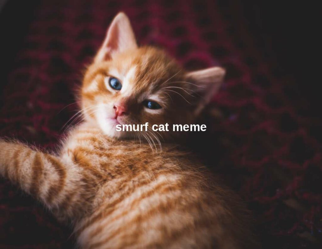 Smurf Cat Meme: Virales Kulturphänomen