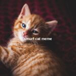 Smurf Cat Meme: Virales Kulturphänomen